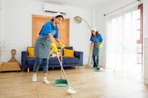 Sea Sweep Cleaning