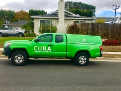 CURA Termite And Pest Control